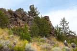 11756 Horny Hollow Trail - Photo 20