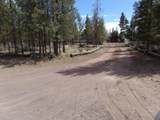 12632 Sun Forest Drive - Photo 2