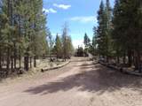 12632 Sun Forest Drive - Photo 3