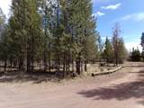 12632 Sun Forest Drive - Photo 4