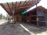 12632 Sun Forest Drive - Photo 9