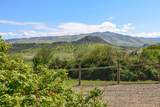 3380 Siskiyou Boulevard - Photo 13