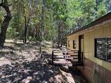 1146 Savage Creek Road - Photo 9