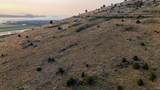 0 Hanks Marsh Vista - Photo 4