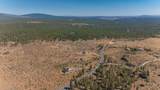 16828 Wilt Road - Photo 73