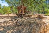 2832 Humbug Creek Road - Photo 14