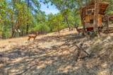 2832 Humbug Creek Road - Photo 15