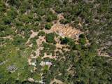 2832 Humbug Creek Road - Photo 3