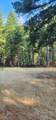 1082 Marcy Loop Road - Photo 31