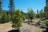  Kinney Cr Road - Photo 19