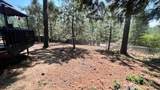 26328 Forest Park Lane - Photo 45