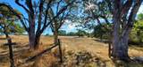 1501 Hammel Road - Photo 24