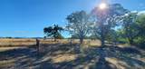 1501 Hammel Road - Photo 26