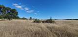 1501 Hammel Road - Photo 28