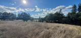 1501 Hammel Road - Photo 30