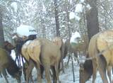 **NO SITUS Deedon Road - Photo 7