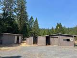 3675 Pleasant Creek Road - Photo 13