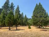 3675 Pleasant Creek Road - Photo 16