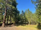 3675 Pleasant Creek Road - Photo 4