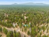 50856 Doe Loop - Photo 41