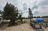 23615 Bliss Road - Photo 46