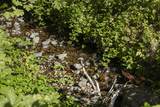 950 Bear Creek Road - Photo 41