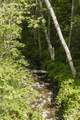 950 Bear Creek Road - Photo 43
