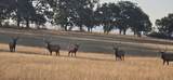 5225 Dodge Road - Photo 45