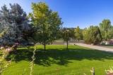 14103 Ravenwood Drive - Photo 3