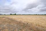 36767 Lickskillet Road Road - Photo 48
