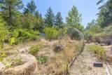 14771 Water Gap Road - Photo 40