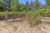 14771 Water Gap Road - Photo 42