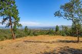 1018 Coleman Hills Drive - Photo 3
