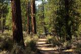 53596 Brookie Way - Photo 43