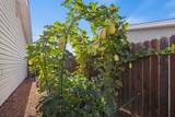 10069 Westbrook Drive - Photo 29