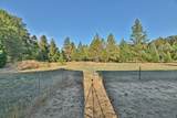 374 Covered Bridge Road - Photo 18