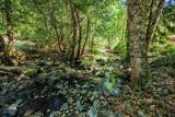 2727 Murphy Creek Road - Photo 4