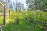 333 Moonbeam Lane - Photo 44