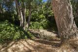 1018 Thompson Creek Road - Photo 25