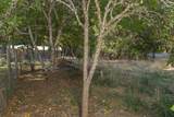 1018 Thompson Creek Road - Photo 31