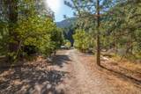 2251 Lower Wolf Creek Road - Photo 23