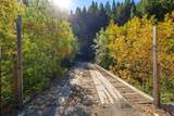 2251 Lower Wolf Creek Road - Photo 28