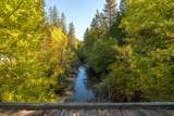 2251 Lower Wolf Creek Road - Photo 30