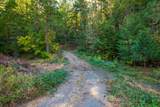 2251 Lower Wolf Creek Road - Photo 31