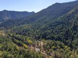 2251 Lower Wolf Creek Road - Photo 44