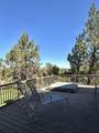 1824 Redtail Hawk Drive - Photo 14