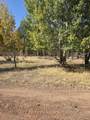 14561 Nuthatch Way - Photo 15