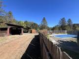 203 Mobley Drive - Photo 12
