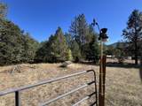203 Mobley Drive - Photo 45