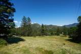 520 Schieffelin Gulch Road - Photo 4